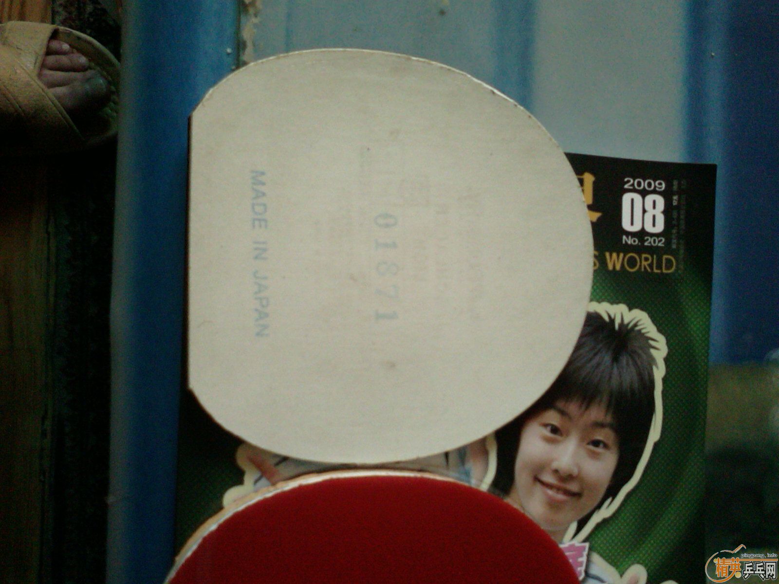 ������������(quan xin)�������׽�