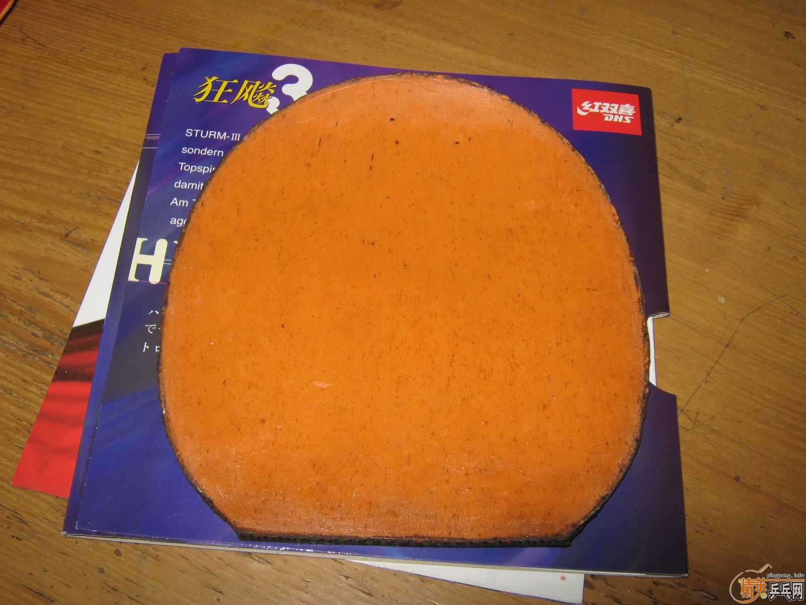 �������տ�