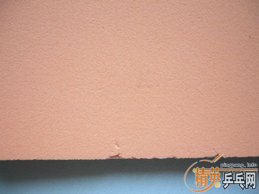 ��԰�϶�����Ƥ�����飬����