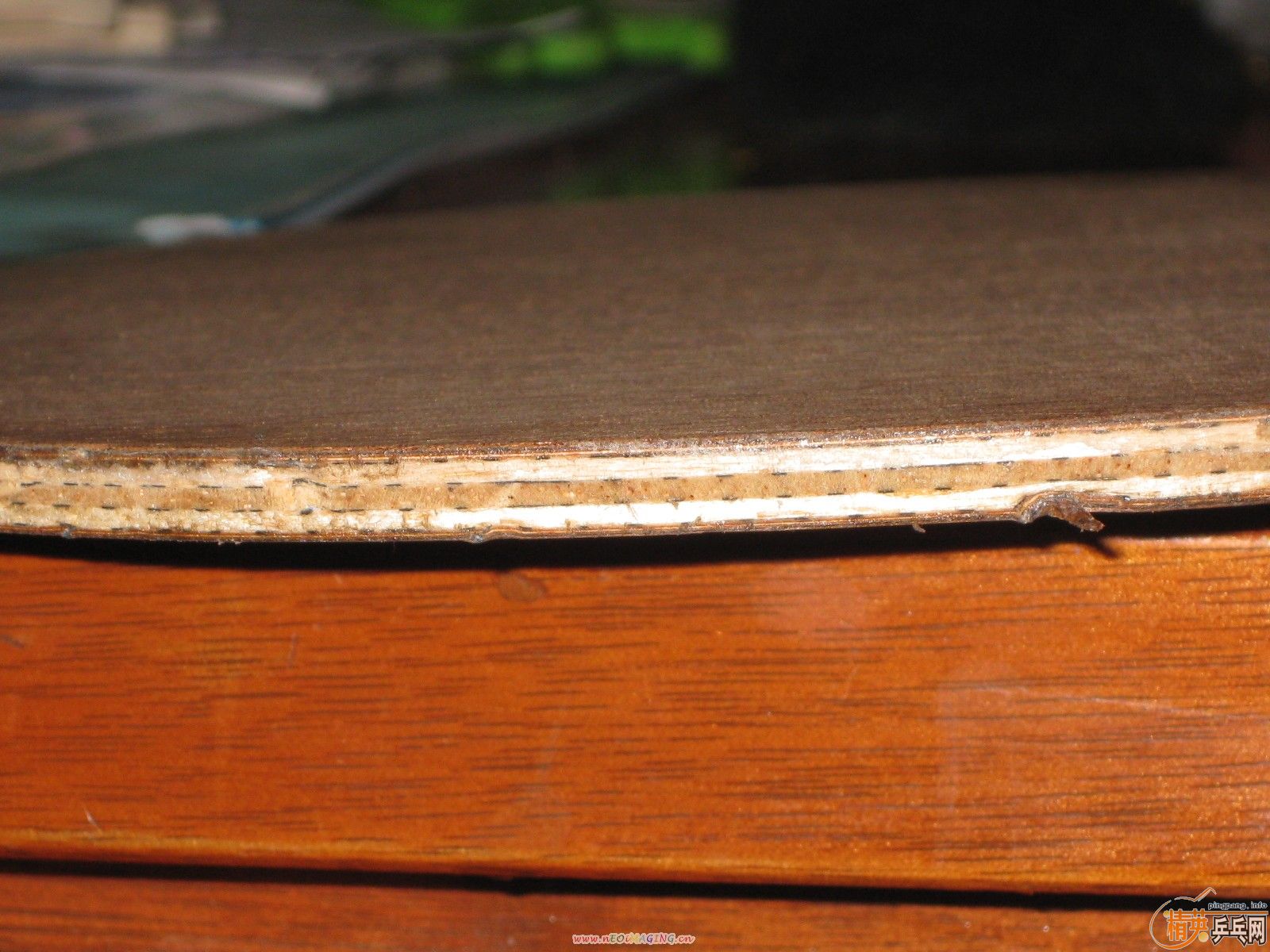 ֧������������YDM17�㡣