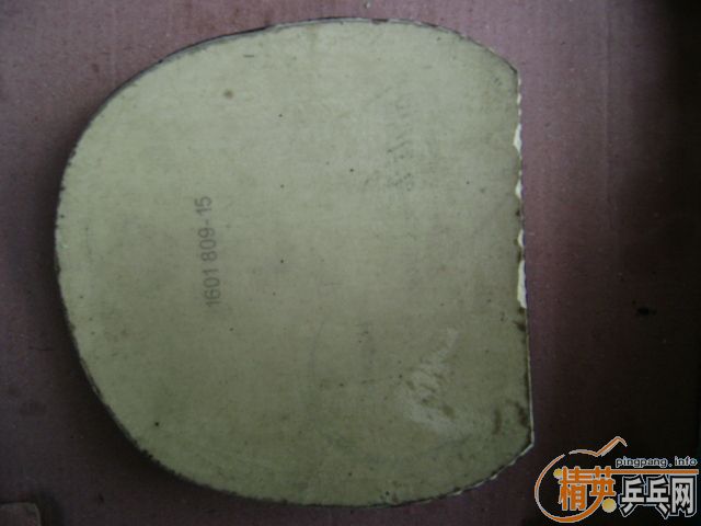 �޿�����ߵ� F1 ��ɫֱ���׽�75���� ��SRIVER �Ϳ���