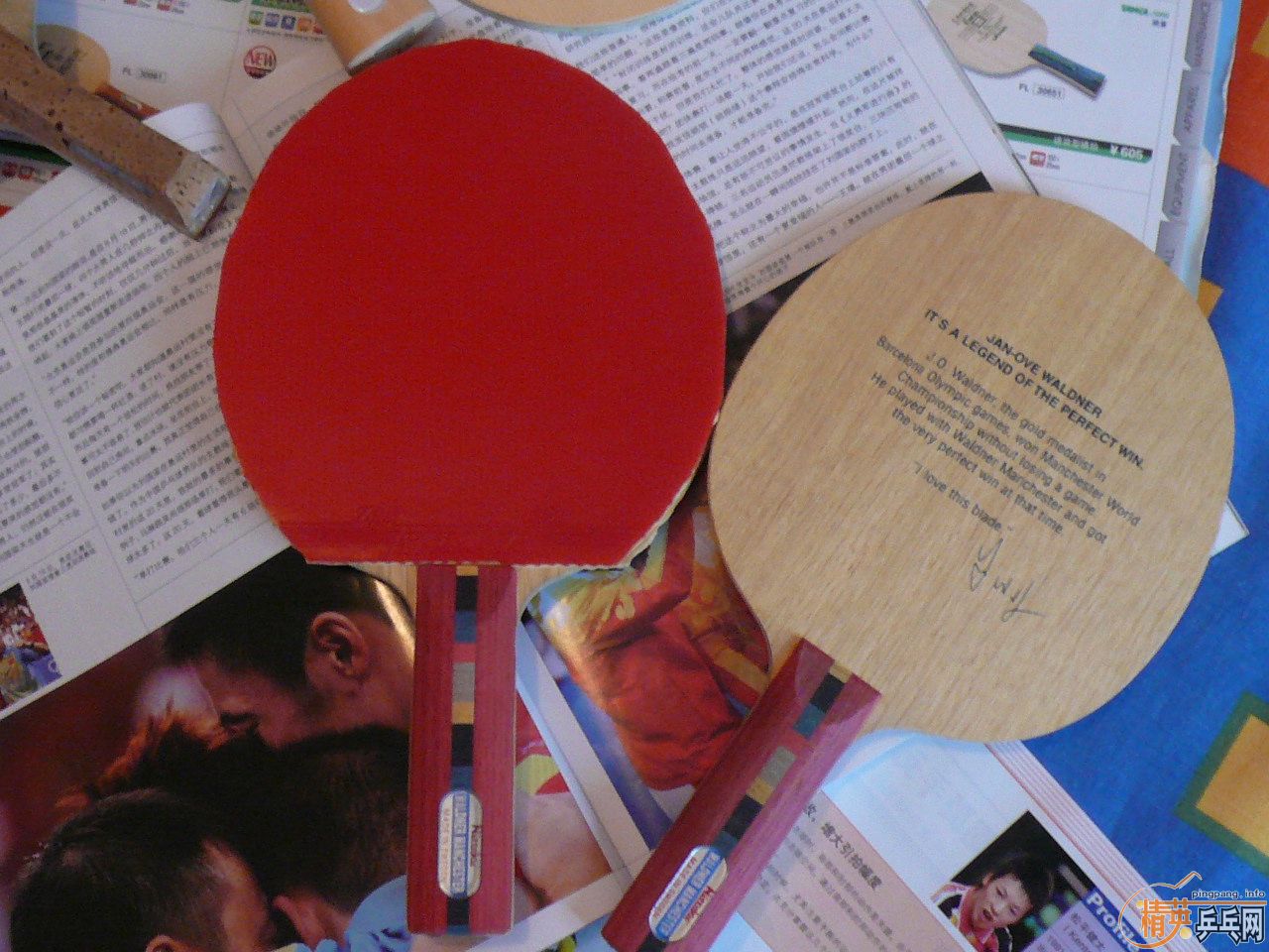 Nittaku MANCHESTER WALDNER��