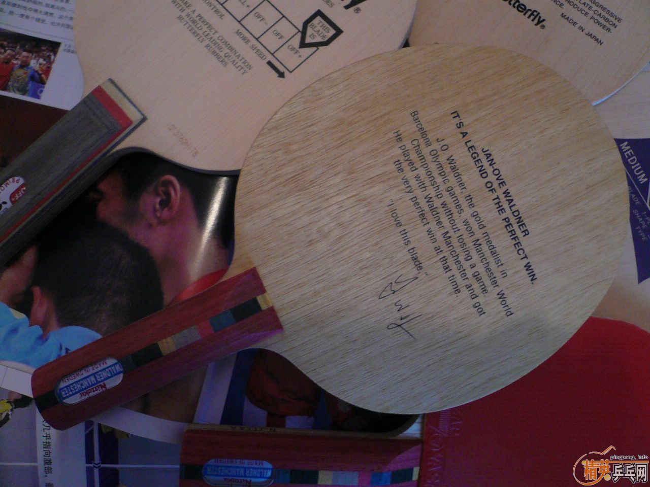 Nittaku MANCHESTER WALDNER��