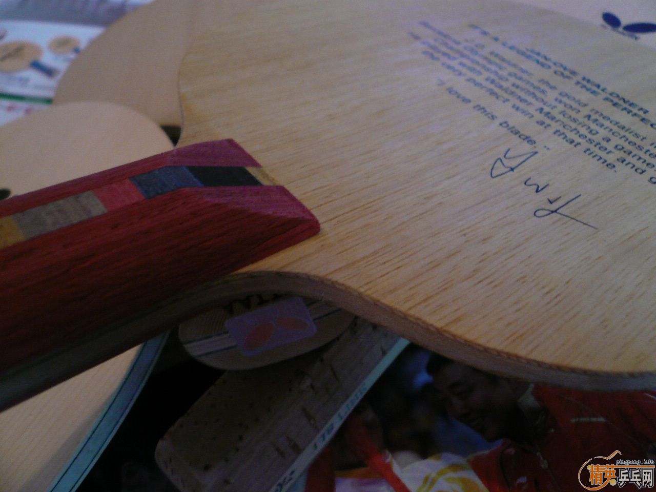 Nittaku MANCHESTER WALDNER��