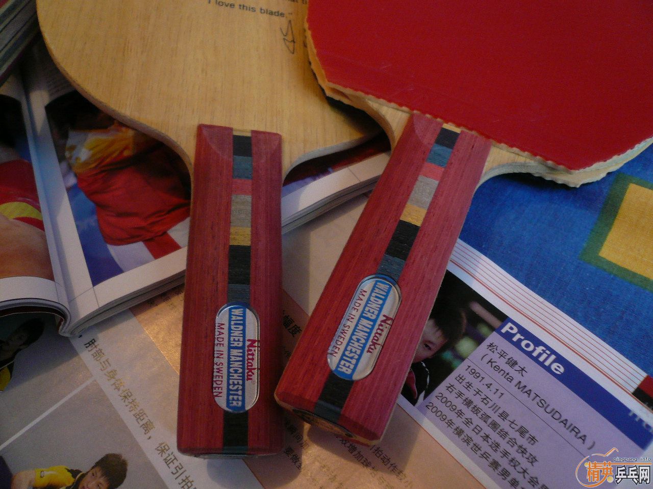 Nittaku MANCHESTER WALDNER��