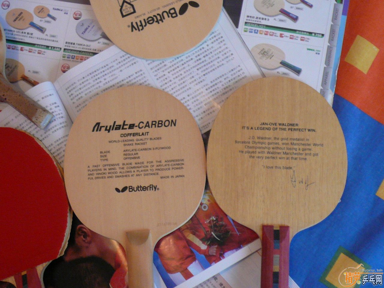 Nittaku MANCHESTER WALDNER��