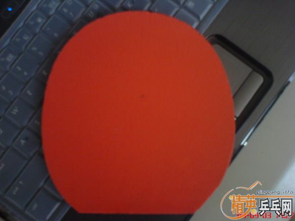 ������Ž�Ƥ/����T05/flextra/09�տ���40�� (���첻��/)