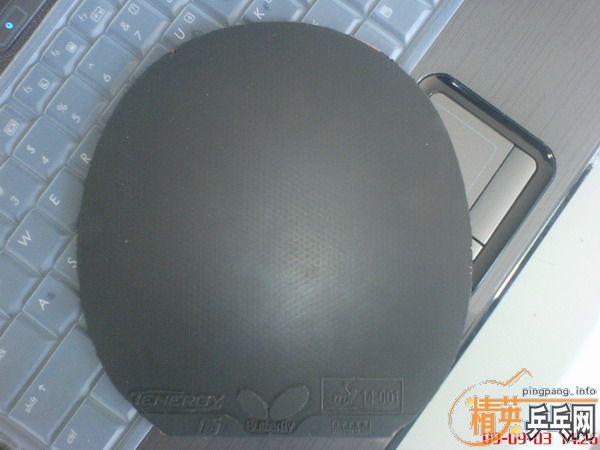 ������Ž�Ƥ/����T05/flextra/09�տ���40�� (���첻��/)