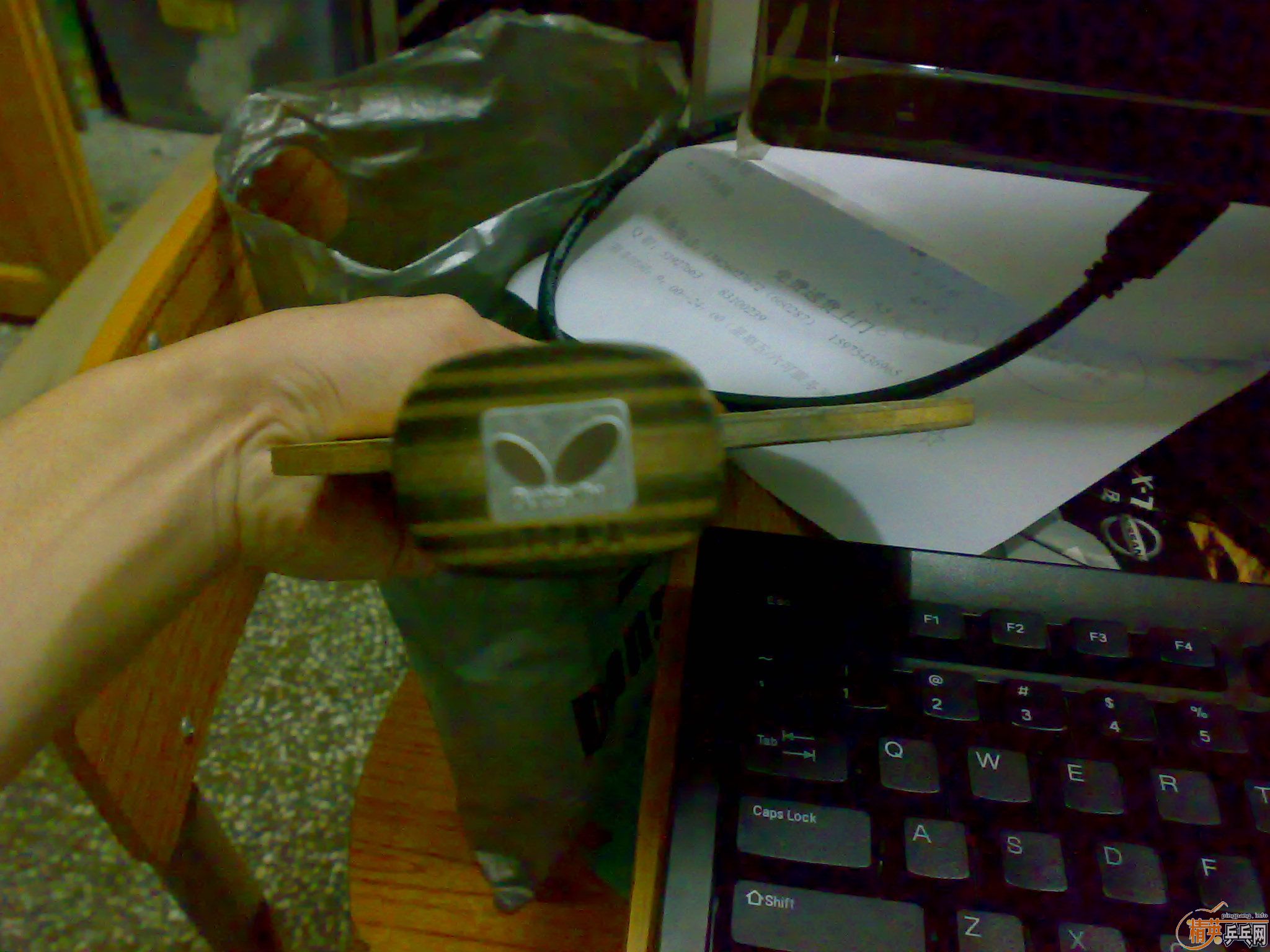 �Ʊ�������