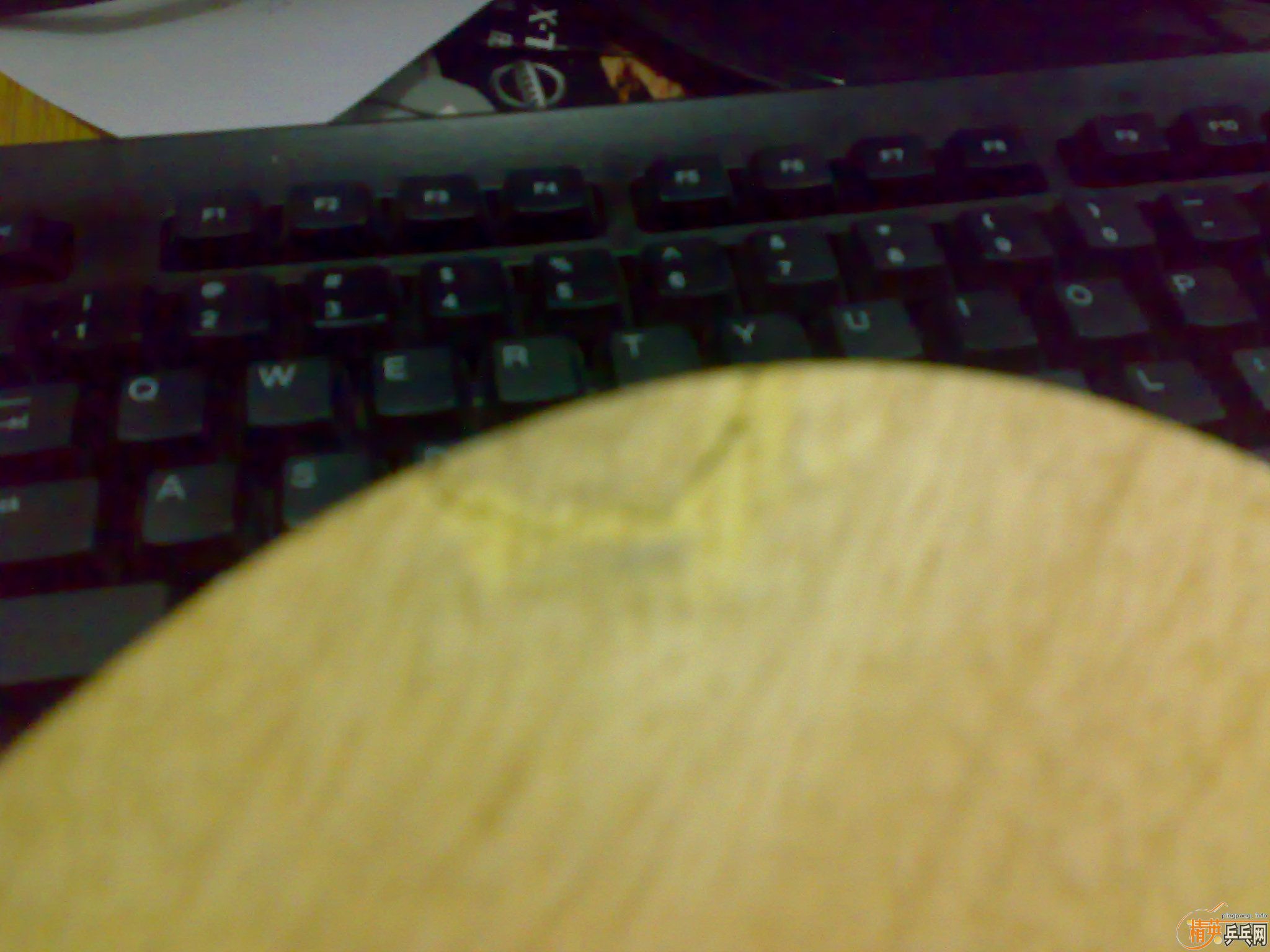 �Ʊ�������