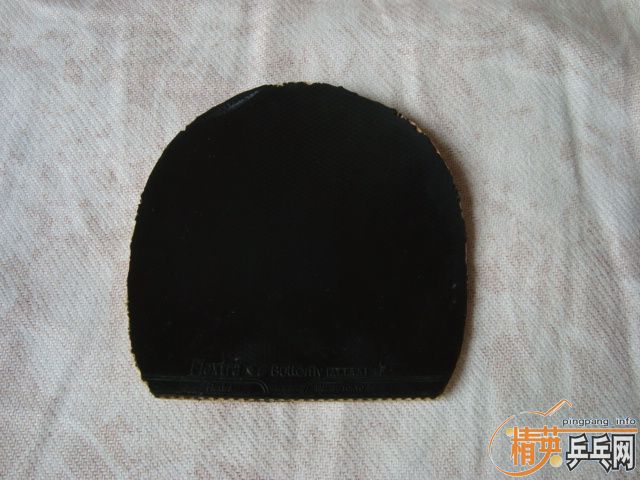 ���Ž�ƤֻҪ65Ԫ