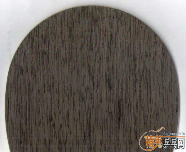 ������Banda OC �������� ����İ��ӡ�