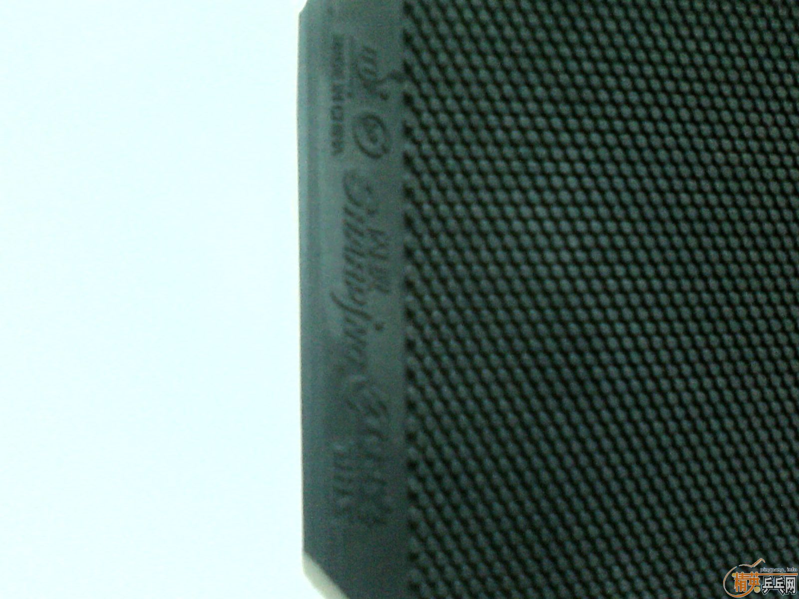 (����,ʵ��)���������(Quanxin)�׽�