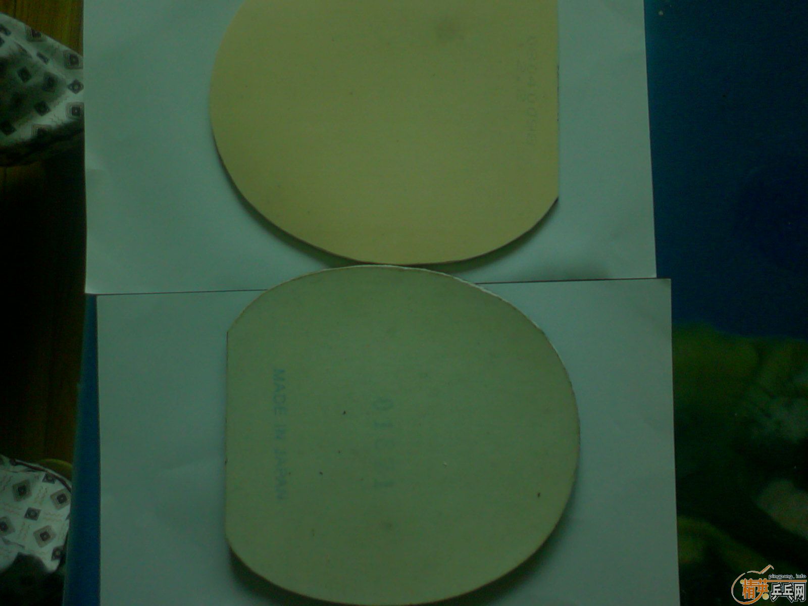 (����,ʵ��)���������(Quanxin)�׽�