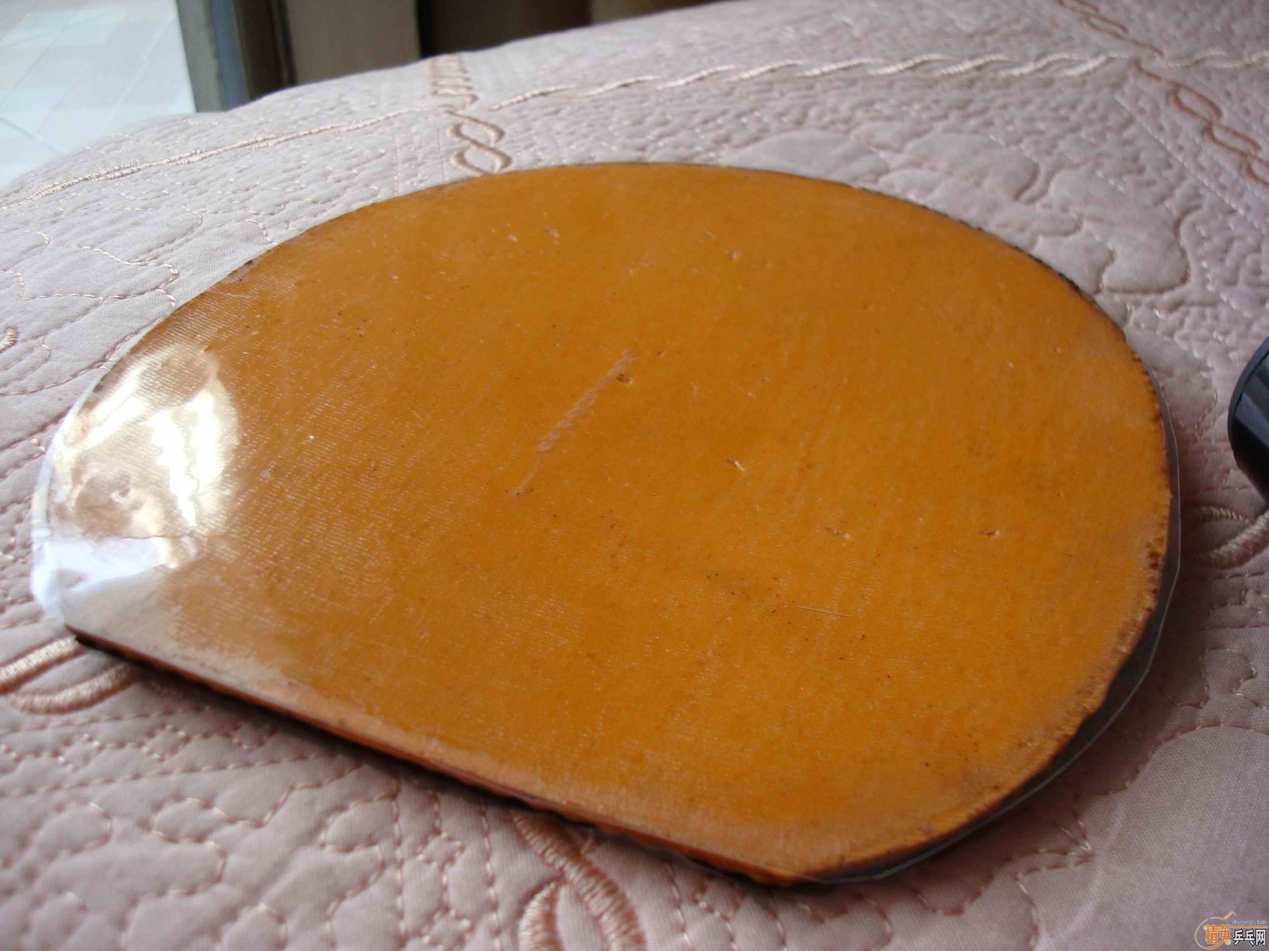 zWd0P483.jpg