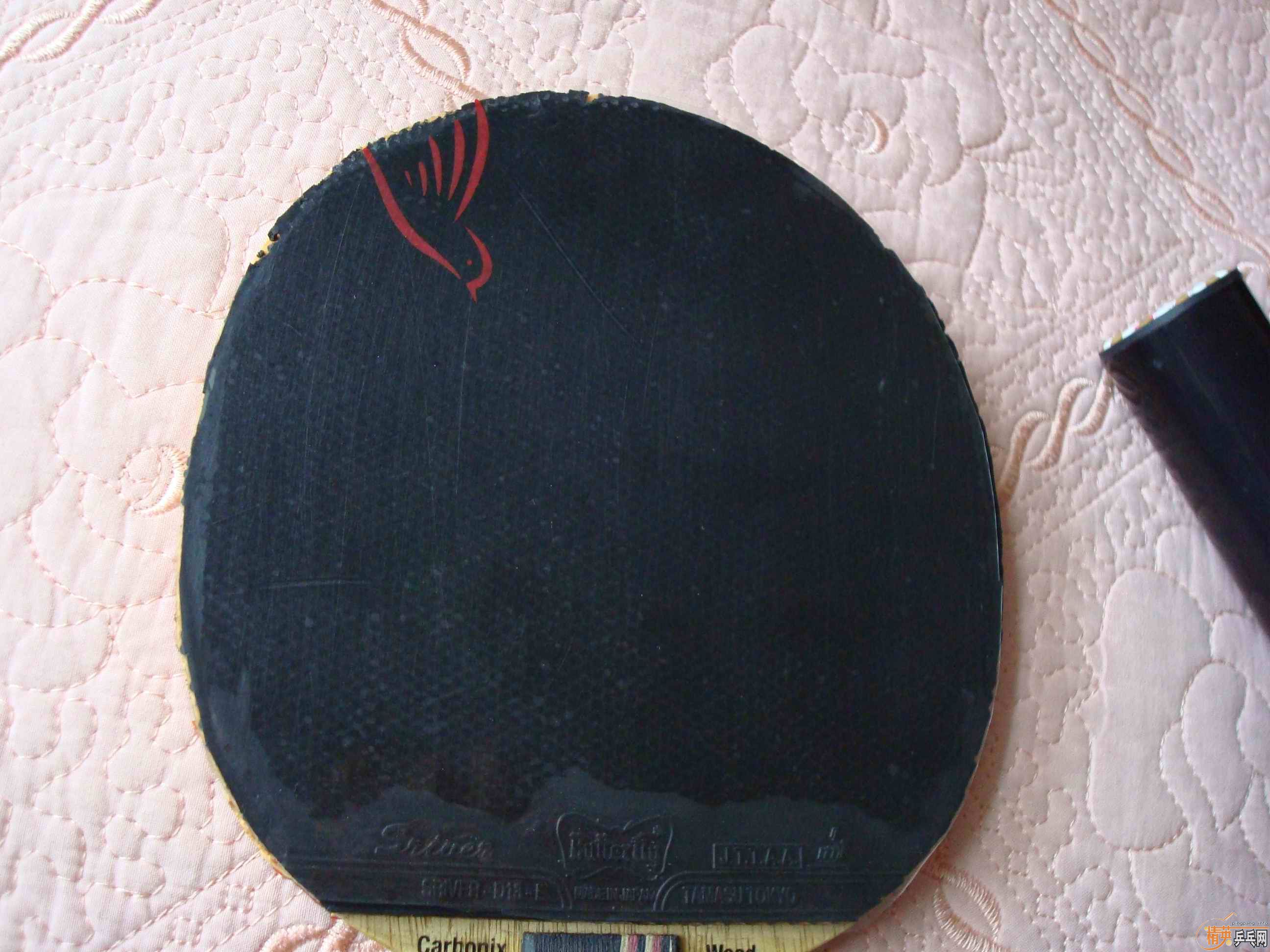 cYuSs0ec.jpg