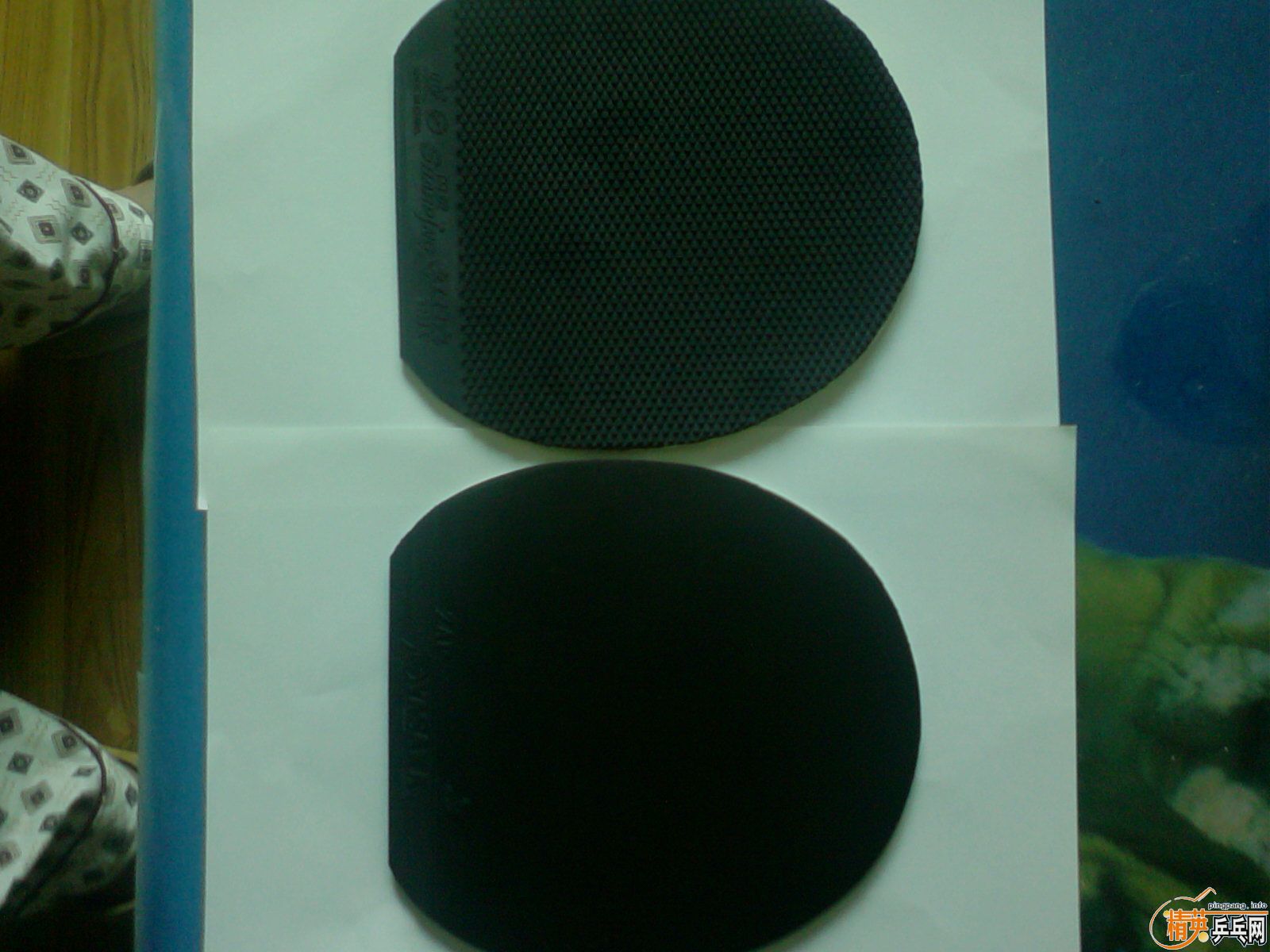 ��,!!!!!!�°�ʩ��̼���׽�(�Ż�!!!!)