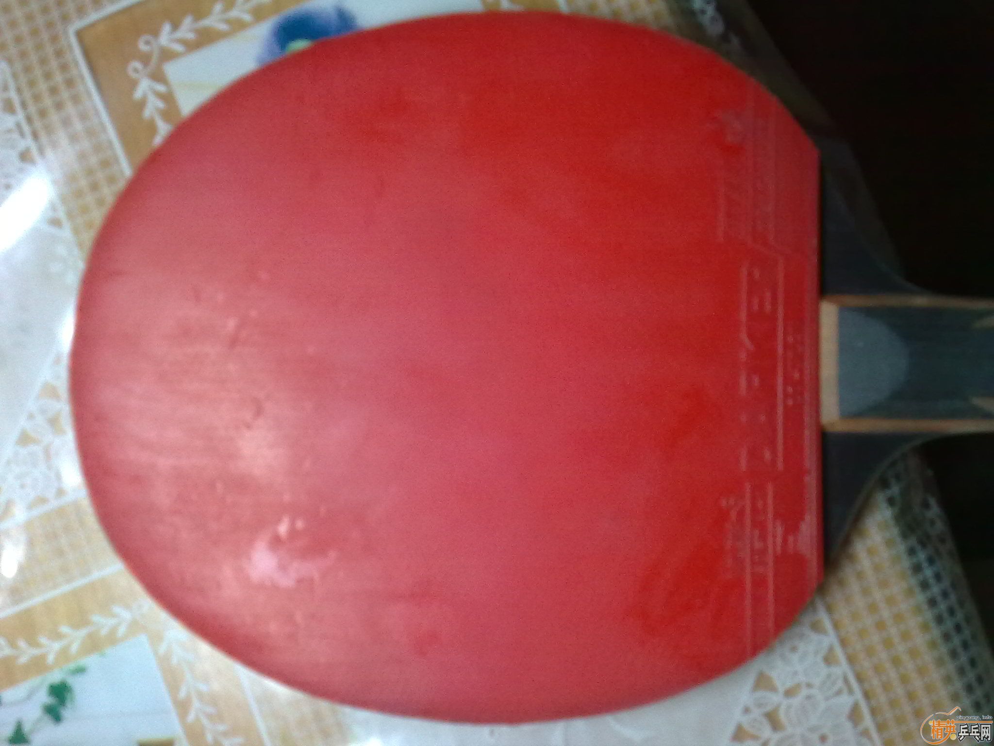 ����2�ε�NEO��2��7�´�˽�V����ɫ����