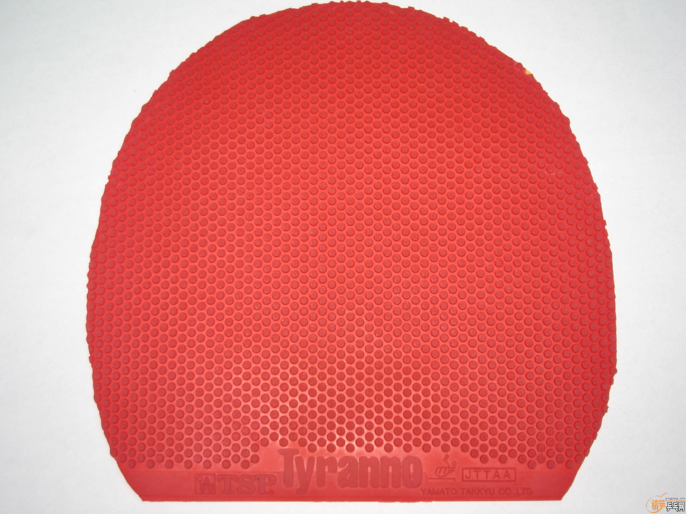 ����һ�������׽�