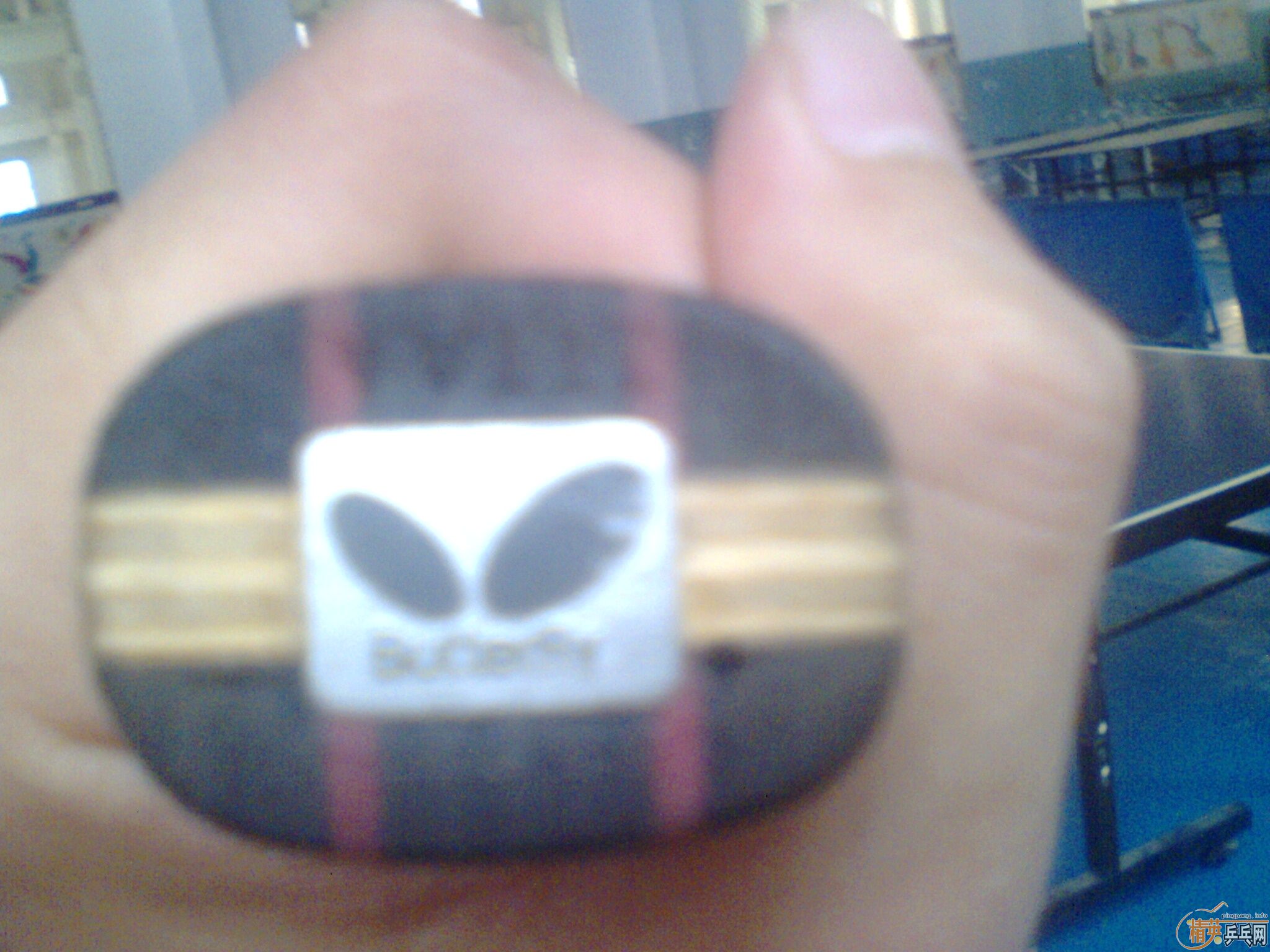 ���ѳ���Korbel  SK7