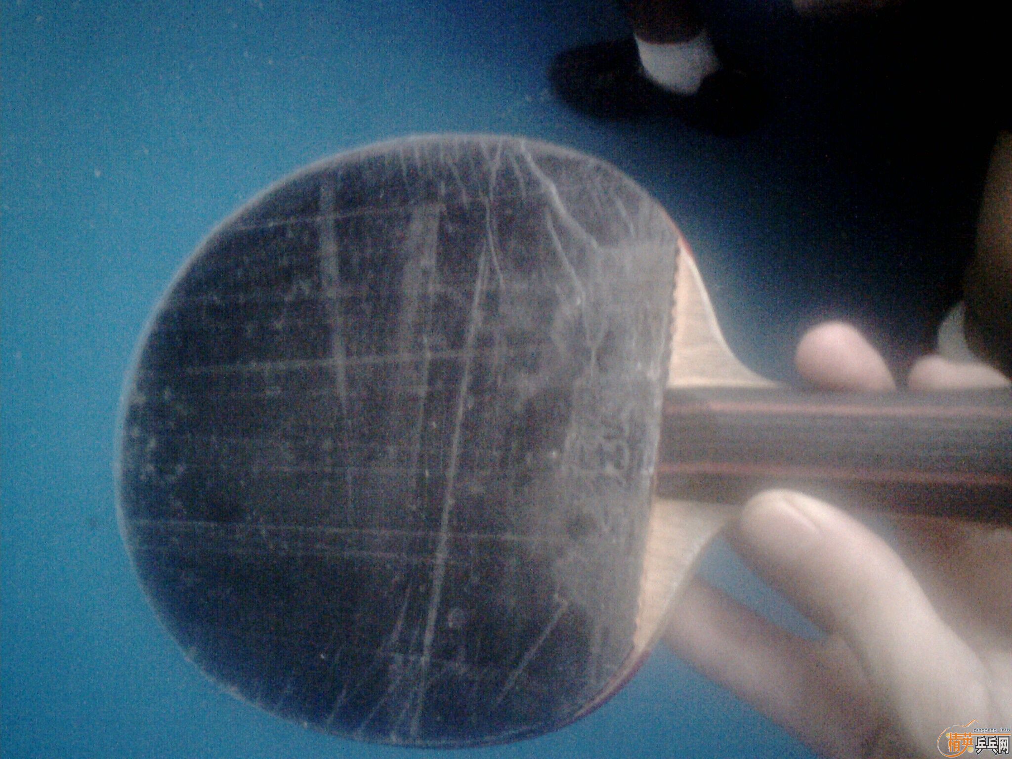 ���ѳ���Korbel  SK7