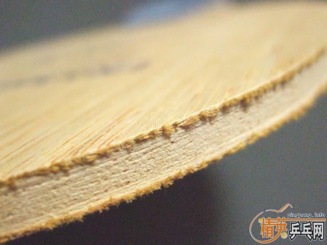 �ſ���ݬ����ĺ��壭����