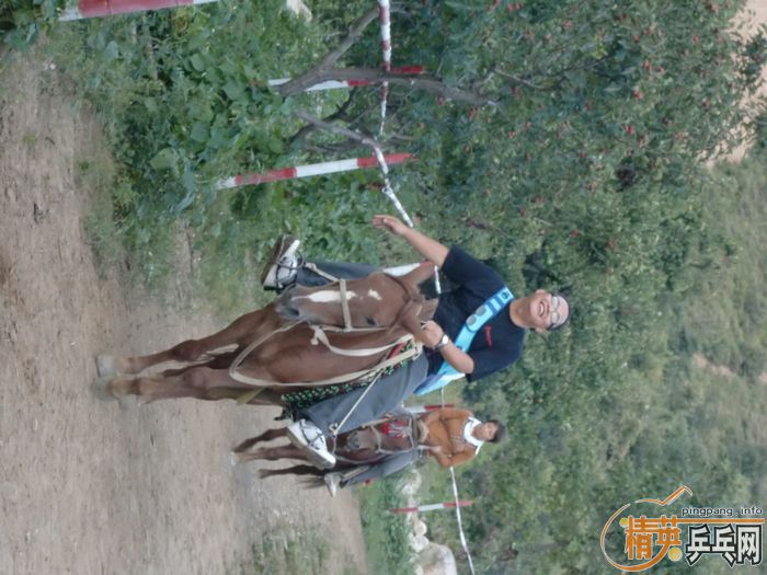 ��Ӣ���ƹ�Ѿ��ֲ�С�ֶӼ�����