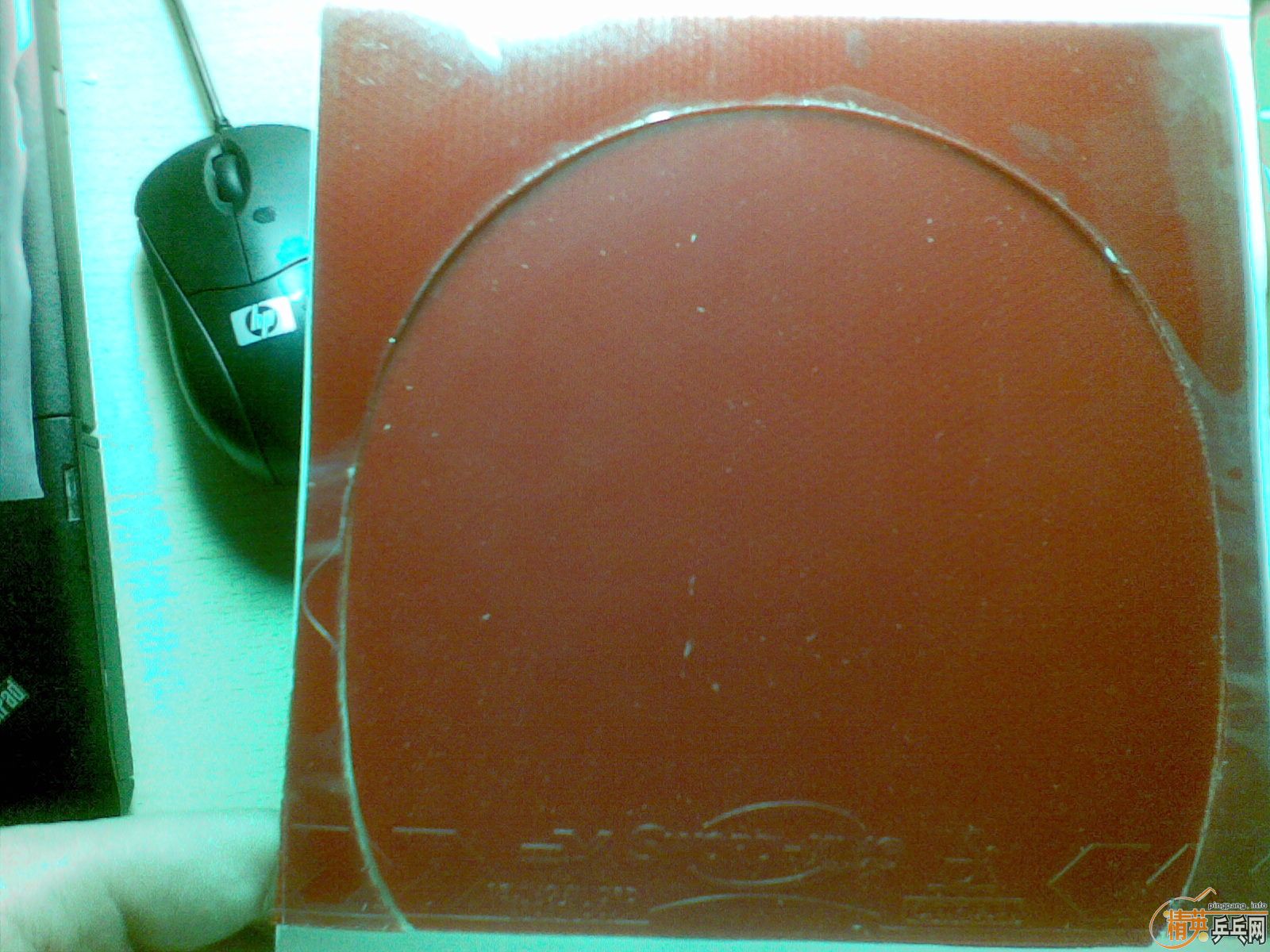 ����quanxin��king