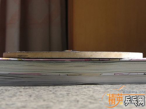 �ɳ��ɻ� ���׽� ���װ嶼�� 9���� ��֧����