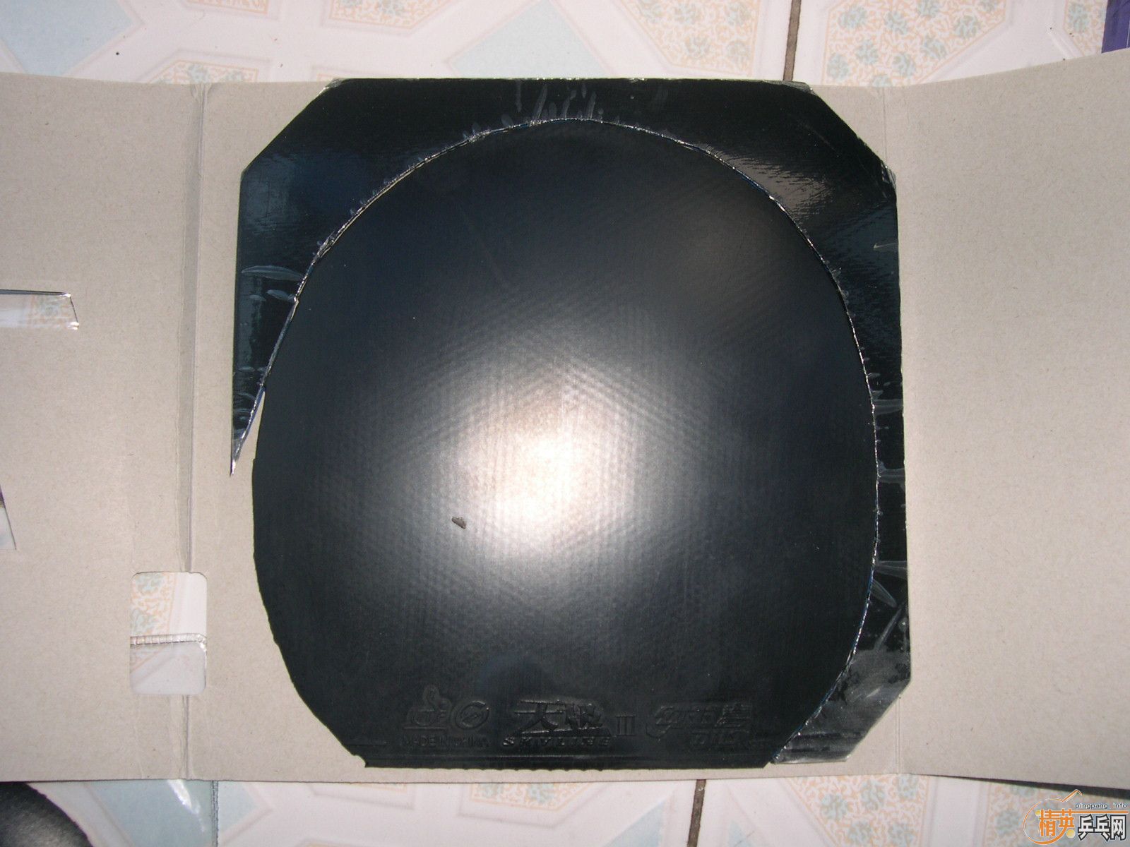 ���޻��������켫��\���켫��\ZAP