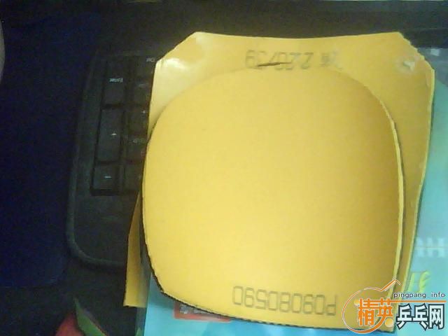 ���������Դ��ʡ��NEO�����ž�������