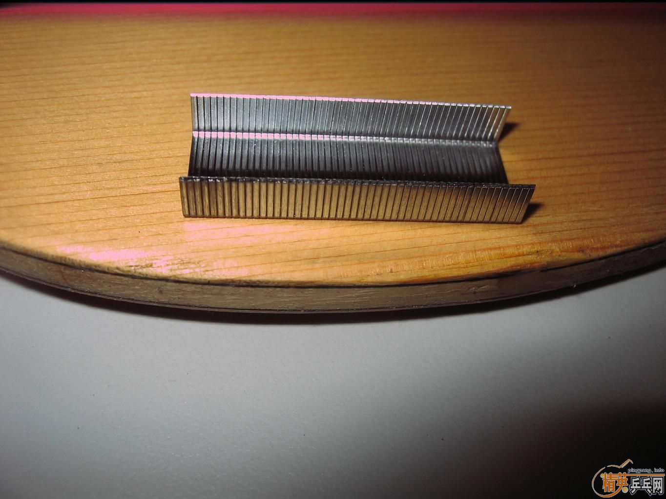 [ԭ��]ת����sardius��壬FL��390Ԫ����ͨ��ݡ�