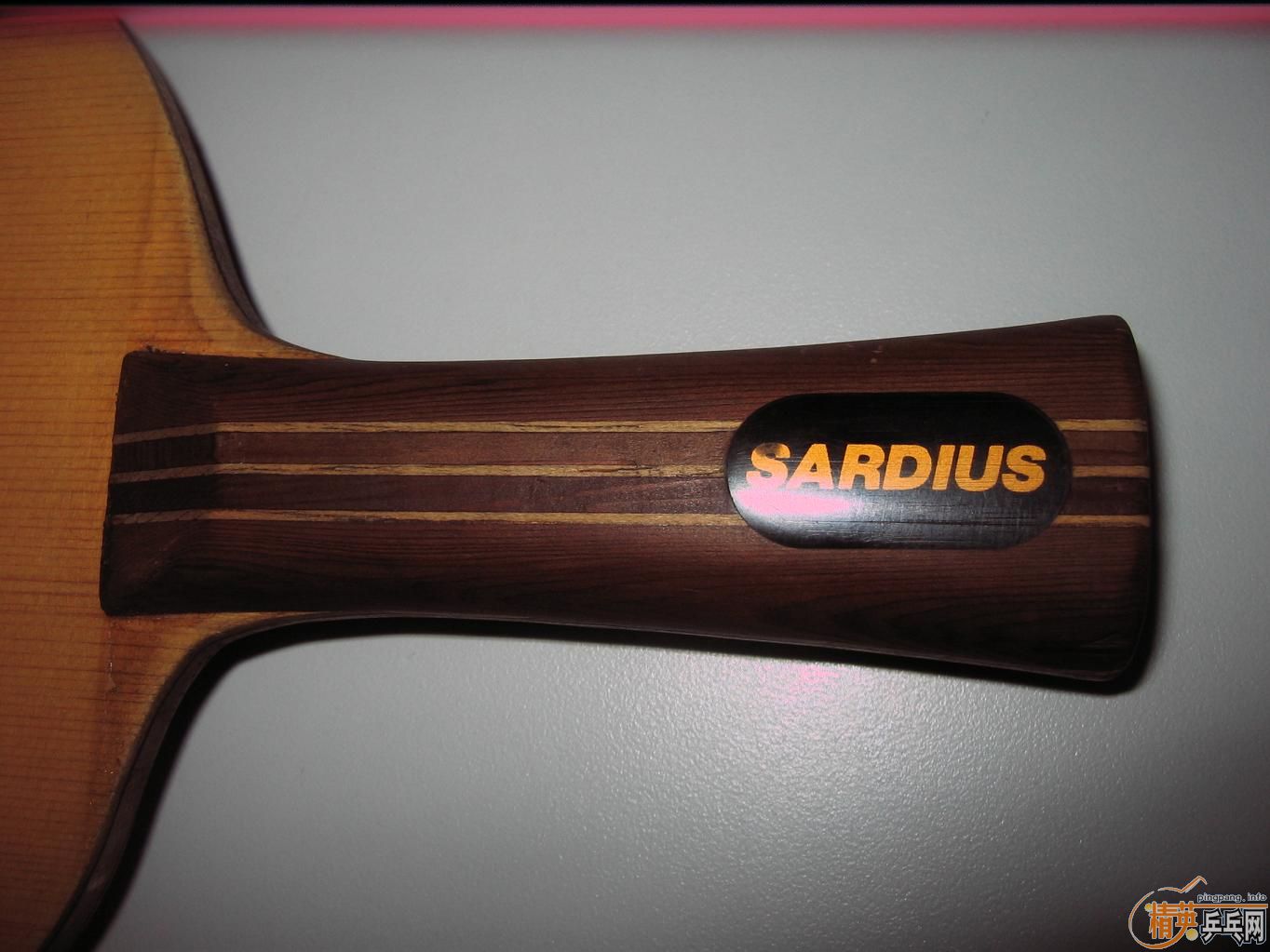 [ԭ��]ת����sardius��壬FL��390Ԫ����ͨ��ݡ�