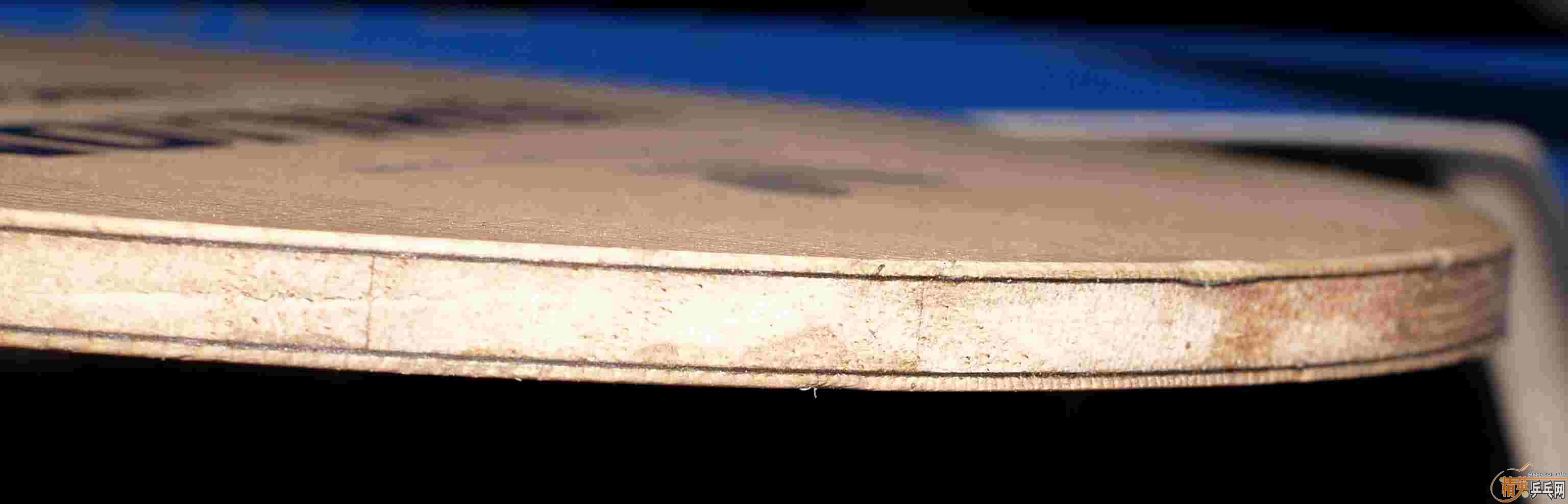 ��95������ ����ISHLION �����ֿ���������֧������