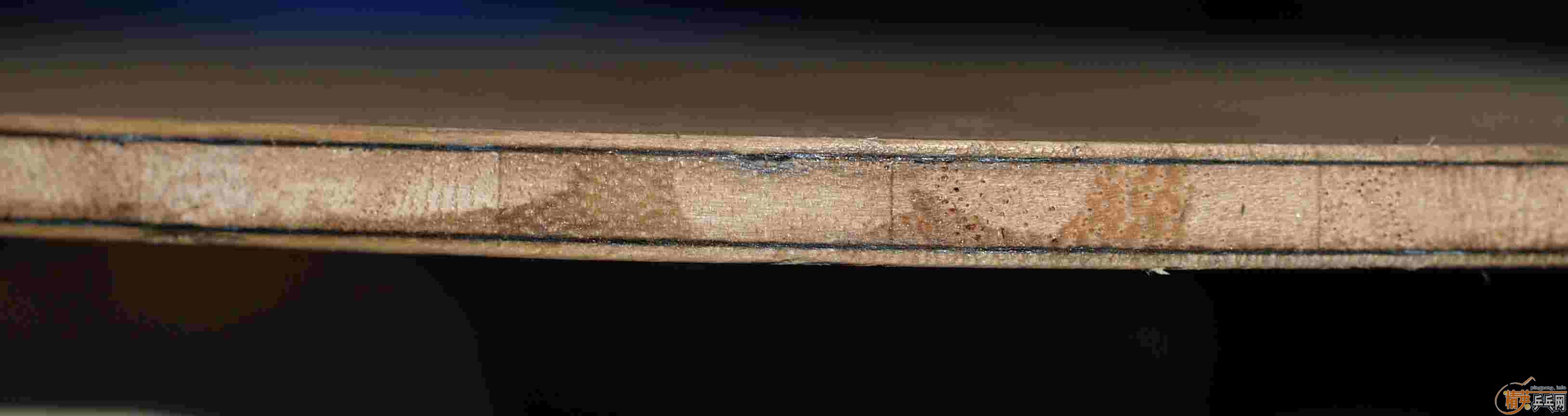 ��95������ ����ISHLION �����ֿ���������֧������