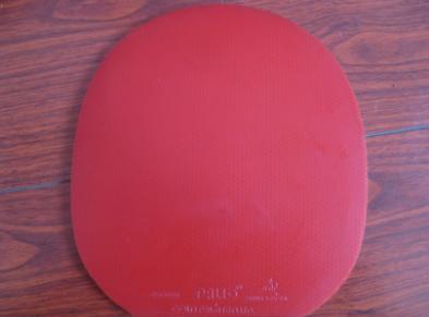 �׽�˦����