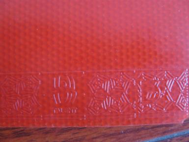 �׽�˦����