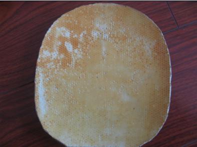 �׽�˦����