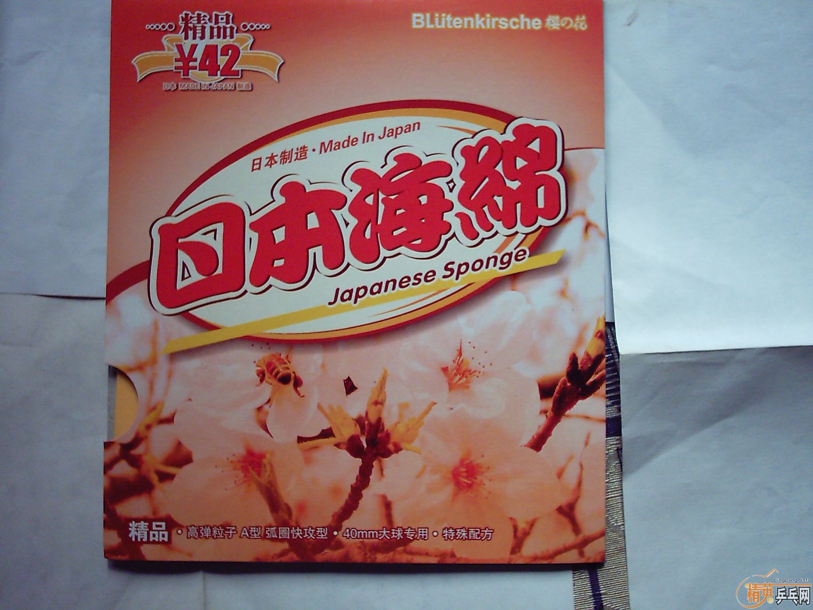 �ɳ��ɻ� ���׽� ���װ嶼�� 9���� ��֧����