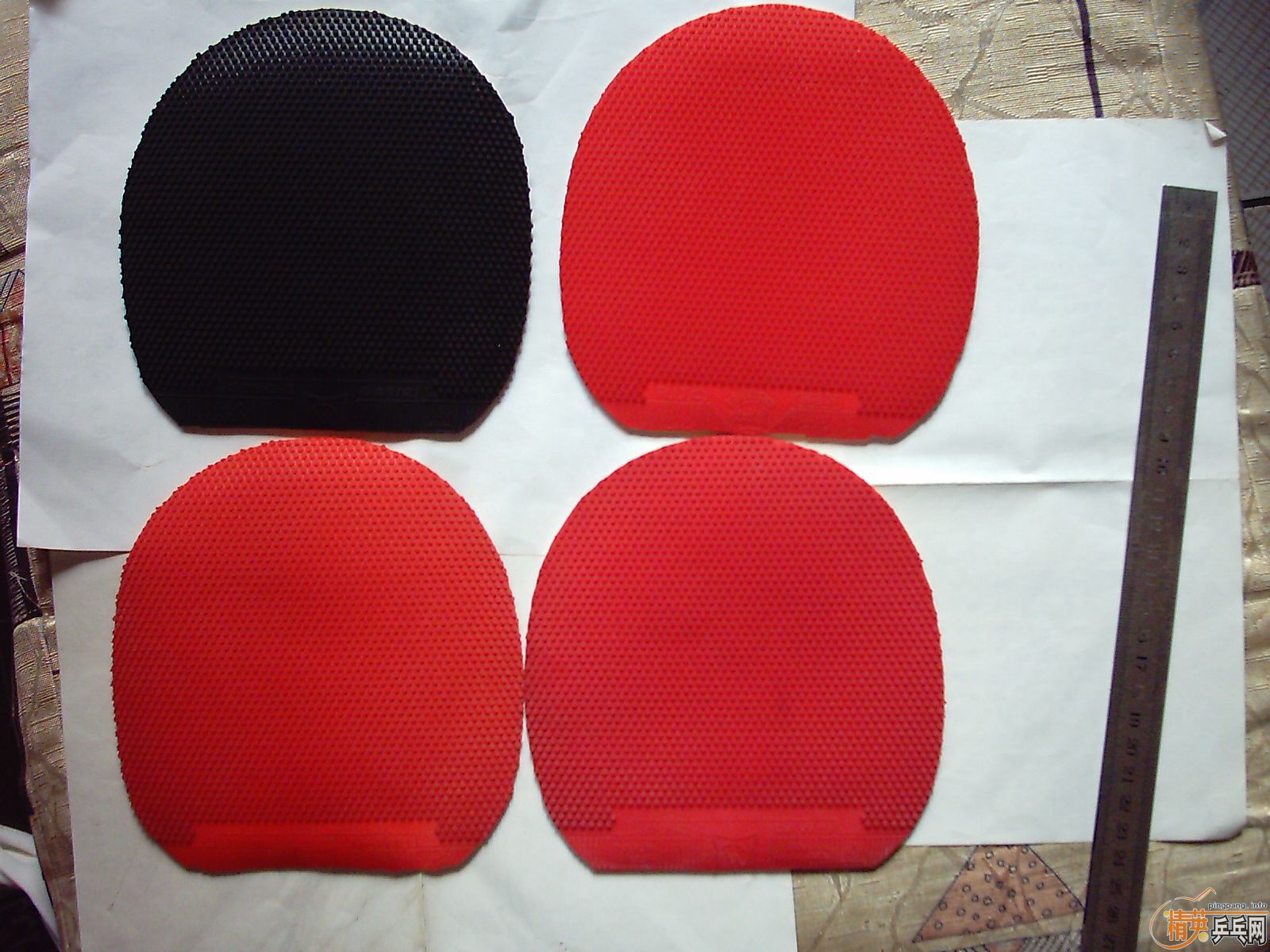 �ɳ��ɻ� ���׽� ���װ嶼�� 9���� ��֧����