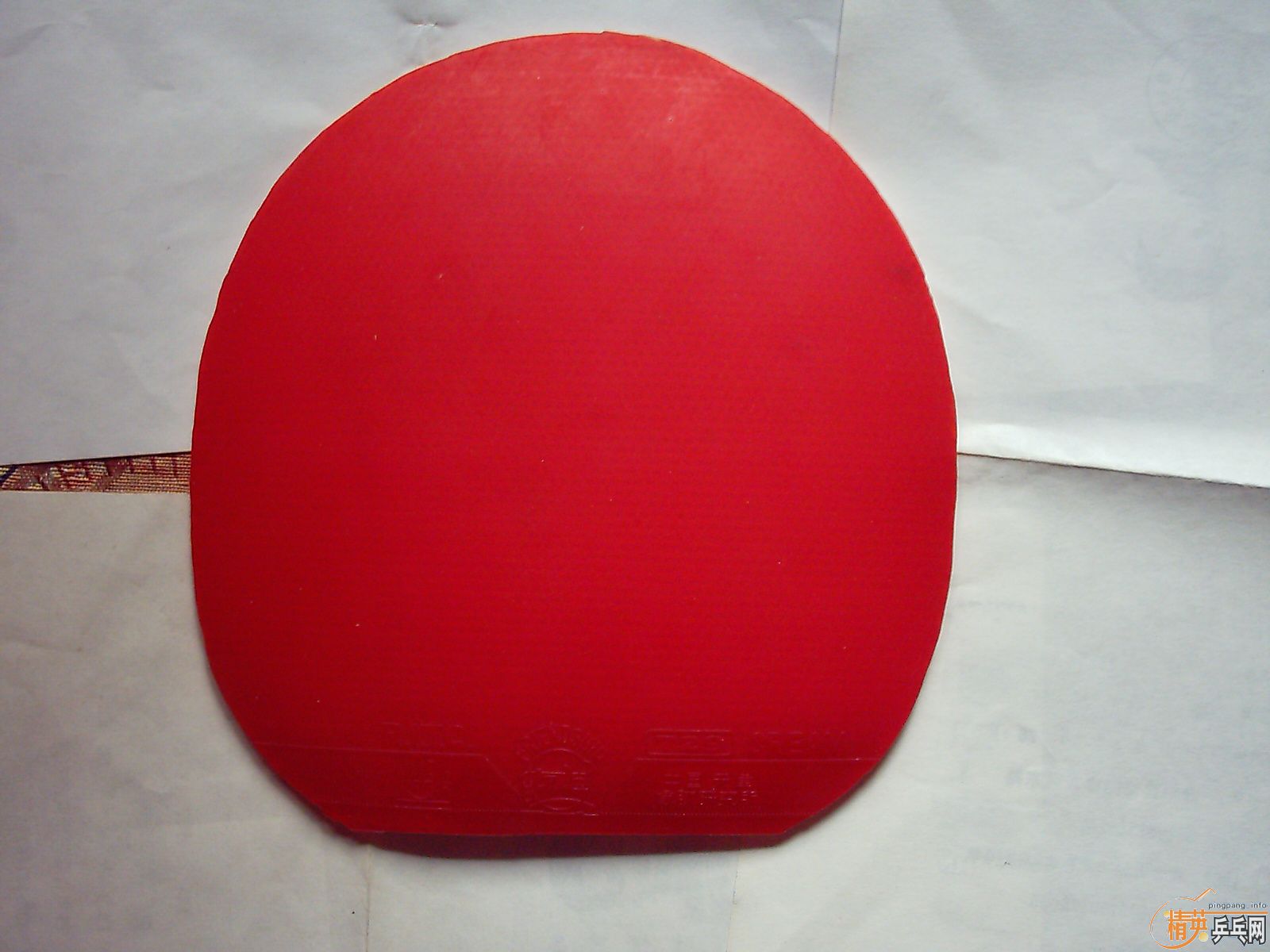 �ɳ��ɻ� ���׽� ���װ嶼�� 9���� ��֧����