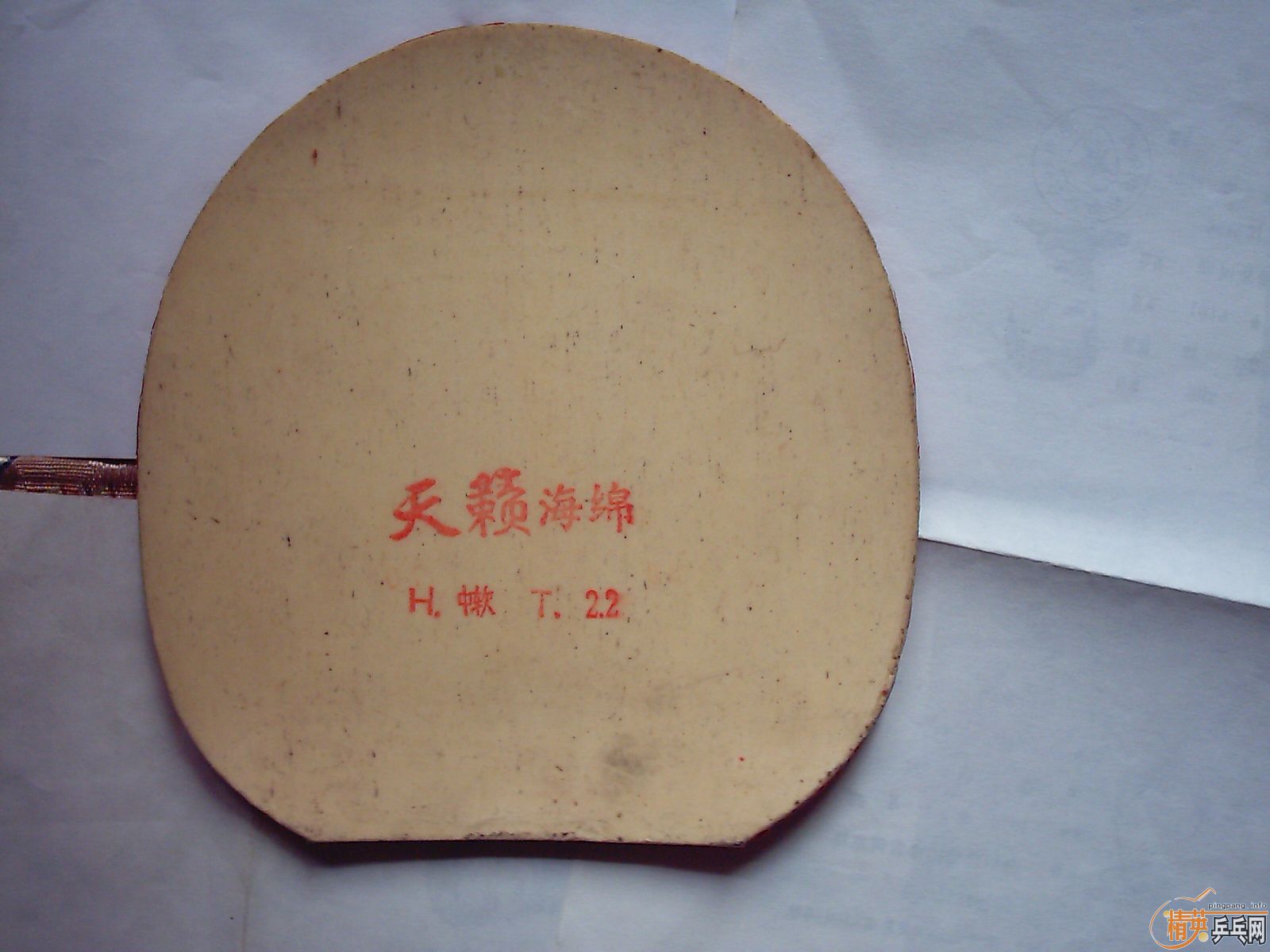 �ɳ��ɻ� ���׽� ���װ嶼�� 9���� ��֧����