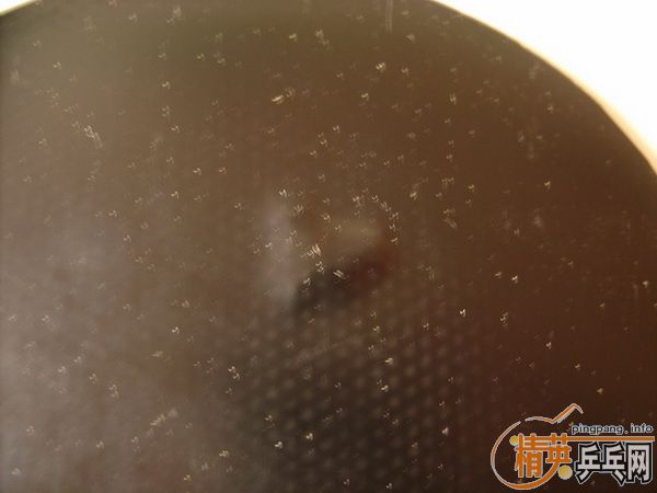 Nittaku��Ĺ���III