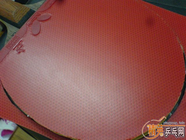 ����30���ӵĺ������SPEED�������