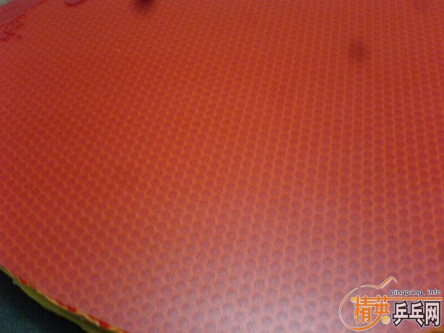 ����30���ӵĺ������SPEED�������