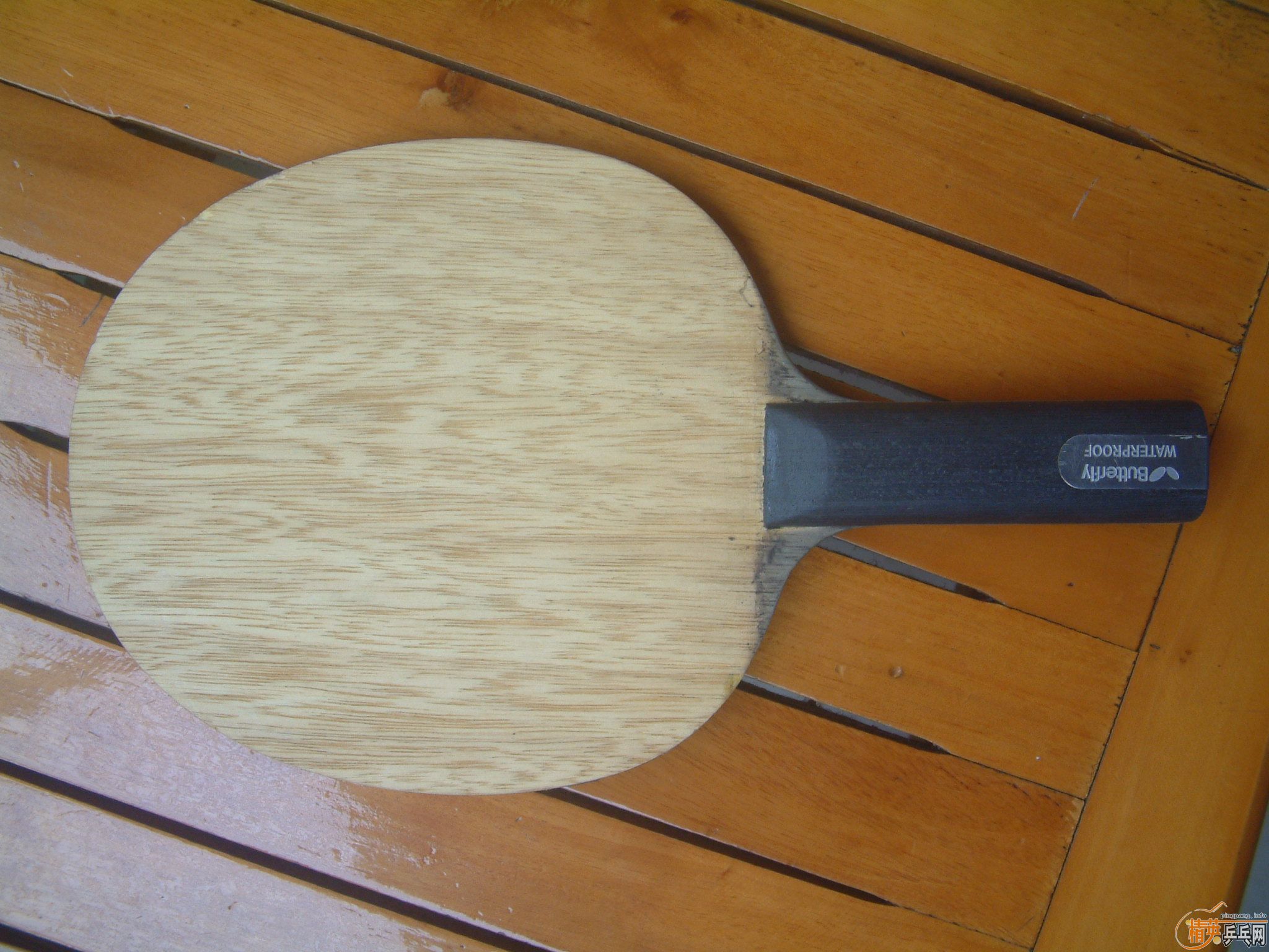 ���ֿ�������ά 310����