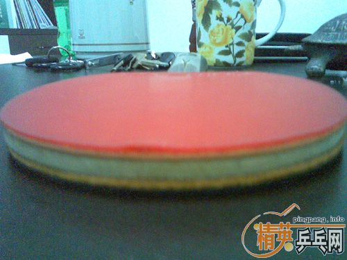 [ԭ��]����ֻ����2���µ�YEO��FL���������ˡ�300Ԫ�����