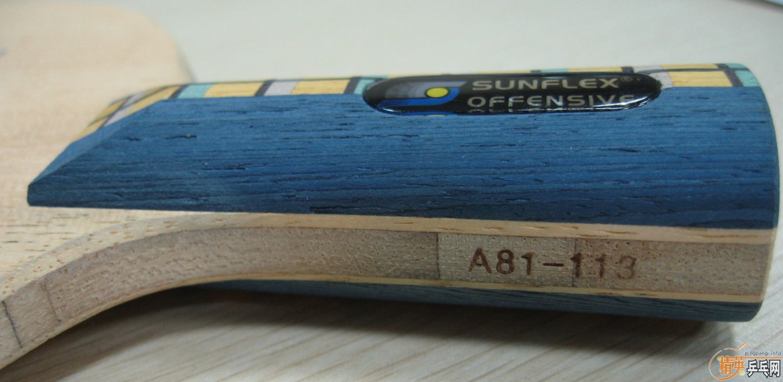 ֻ1Сʱ⣨SUNFLEXA81-113 STIGA CLά̼÷ȷ̼