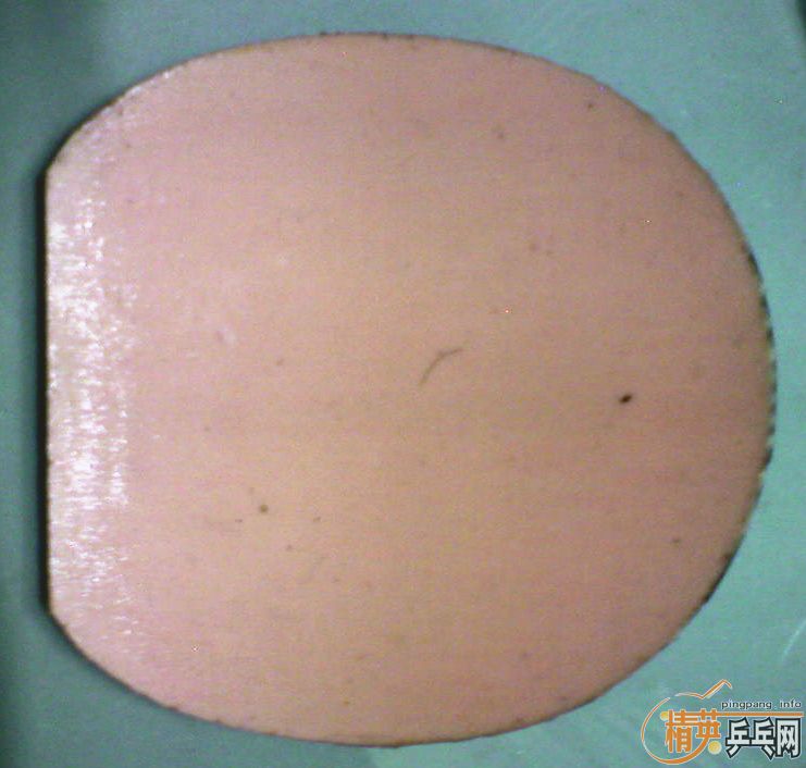 ���������9.5�����˵�ͦ����������VI-L��9.5�����׽�Ƥ