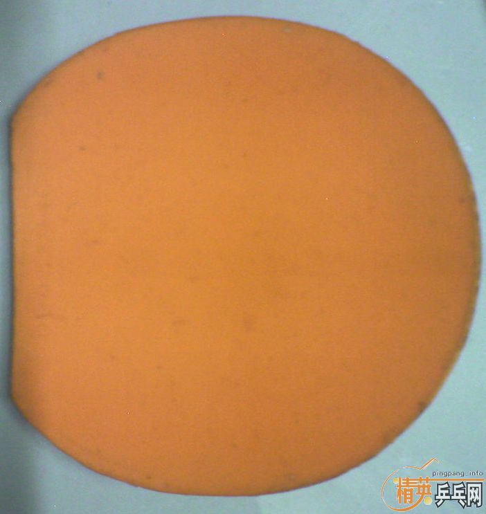 ���������9.5�����˵�ͦ����������VI-L��9.5�����׽�Ƥ